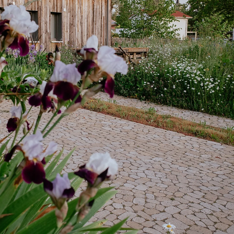 Parkfläche vor Haus mit Garten
